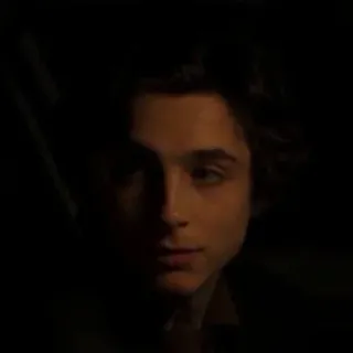 😕 dd66b09f Timothée Chalamet Porträt, Schauspieler, Promi, Timothée Chalamet whatsapp sticker