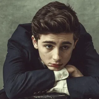 😕 fea97e56 Timothée Chalamet Schauspieler, Porträt, Promi, Film, Mann whatsapp sticker