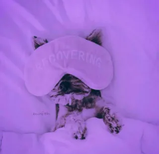 @bwnfsh 2 whatsapp stickers