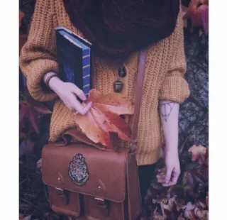 🍁 b80c4afa Herbst, Blätter, Pullover, Buch, Tasche, Herbst, Harry Potter telegram sticker