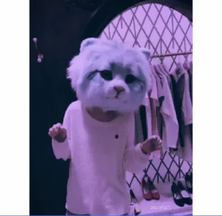 🐱 dee2d25f telegram sticker