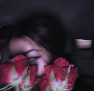🥀 e7747dc5 Bunkfish frau, rosen, selfie, drinnen, dunkel, rot telegram sticker