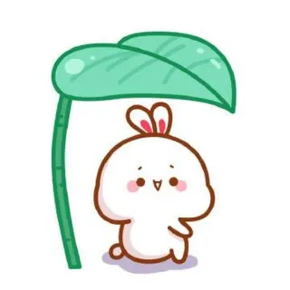 🍼 11b7bb77 ウサギ, かわいい, 葉, バニー, 動物 telegram sticker