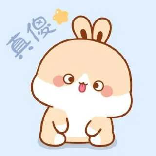 🍼 aa8a81da 真傻 可愛い, ウサギ, 動物, カワイイ, 漫画 telegram sticker