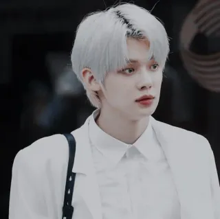 🐚 25115f55 osoba, mężczyzna, portret, białe włosy, mężczyzna, kpop, przystojny telegram sticker