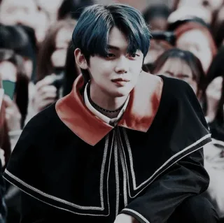 🐚 703eb47f osoba, mężczyzna, facet, kpop, absolwent, toga telegram sticker