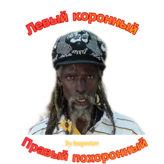 😽 2764c02e Левый коронный Правый похоронный whatsapp sticker