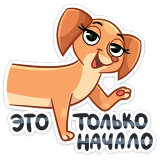 ☺️ 4bfc292b ЭТО ТОЛЬКО НАЧАЛО anjing, kartun, rusia, kutipan telegram sticker