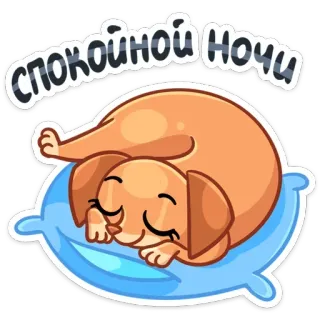 😴 64f6b4bb Спокойной ночи selamat malam, anjing, tidur, bantal, imut, hewan telegram sticker