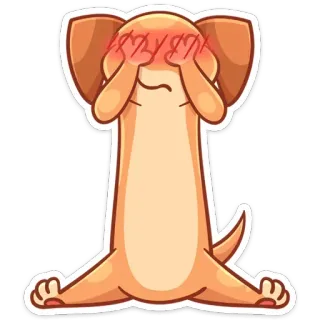 🙈 88ac7c56 ЫЗЫЫК anjing, hewan, malu, imut, stiker telegram sticker