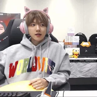 🥡 cb0e369d WORLDWIDE 韩流, 人物, 音乐, 耳机, 粉色, 猫耳, 帽衫, 全球, exo telegram sticker