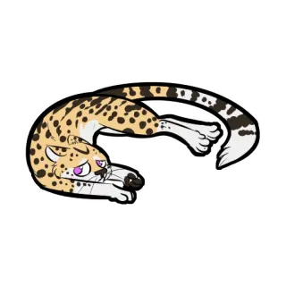 😿 a36e6e7a 표범, 동물, 야생 동물, 고양이, 고양이과, 만화, 일러스트 telegram sticker