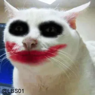 🦁 6245147d Joker @LBS01 แมว, โจ๊กเกอร์, แต่งหน้า, ตลก, มีม, สัตว์ telegram sticker