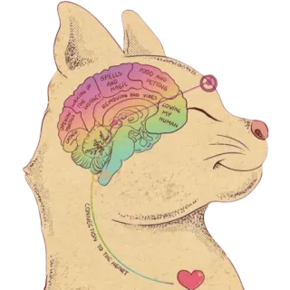 ✨ 216ad5e9 SPELLS
AND
MAGIC
REMOVING BAD VIBES
LOVING
MY
HUMAN
CONNECTION TO THE HEART kucing, otak, diagram, anatomi, lucu telegram sticker