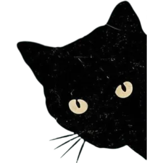 ✨ 48f4e5e3 kucing, kucing hitam, hewan, imut, mata, stiker telegram sticker