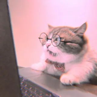 🐾 5babbced mèo, kính, nơ, mọt sách, động vật, thú cưng, dễ thương, hài hước telegram sticker