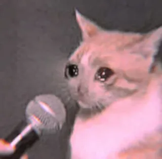 🐾 d24bd3ca mèo, khóc, micrô, meme, buồn, động vật, thú cưng telegram sticker