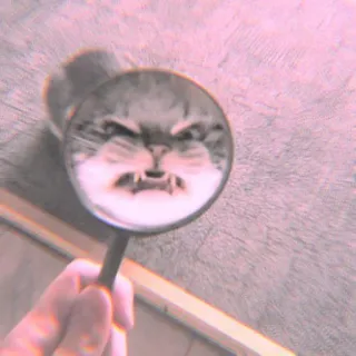 🐾 fb885306 mèo, kính lúp, tức giận, hài hước, meme, động vật, thú cưng telegram sticker