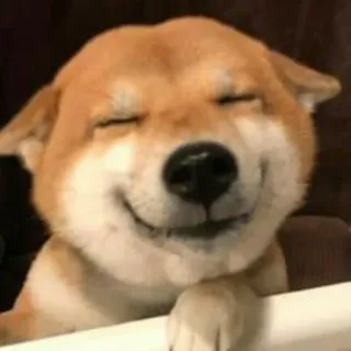 😊 32c55004 Hund, Shiba Inu, süß, lächelnd, glücklich telegram sticker