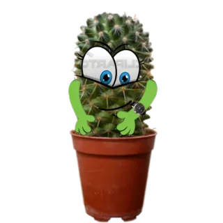 ⌚️ 25cbc06d kaktus, roślina, kreskówka, roślina doniczkowa, oczy, ramię telegram sticker