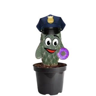 👮‍♂ 52e86a1b kaktus, pączek, policja, roślina, doniczka, kreskówka telegram sticker