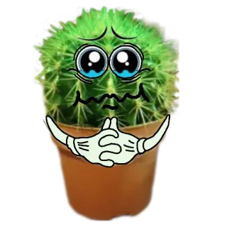 🥺 8c46eeeb kaktus, roślina, smutny, kreskówka, słodki, emotikon telegram sticker