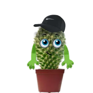 😏 aed141fe kaktus, roślina, kreskówka, naklejka, śmieszne, postać, słodkie telegram sticker