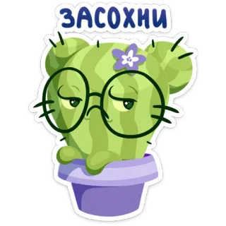 🖕 0cea5e26 ЗАСОХНИ 선인장, 식물, 꽃, 스티커, 만화, 표정, 귀여운 telegram sticker
