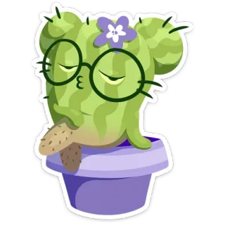 🥴 fc87b98b 선인장, 식물, 꽃, 안경, 키스, 귀여운, 웃긴, 스티커 telegram sticker