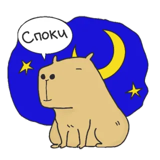 🛏 34182918 Споки capybara, maan, sterren, slaap, schattig, dier, cartoon telegram sticker