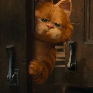 🤣 1806dbcf Garfield kat, cartoon, oranje, Garfield, dier, huisdier telegram sticker