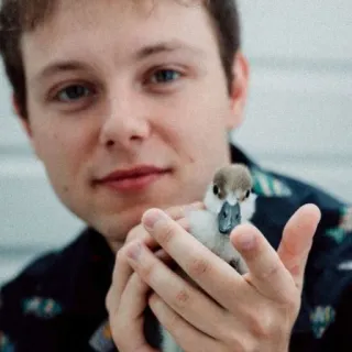 🥺 05b53e6e 人, アヒルの子, 動物, かわいい, 赤ちゃんアヒル, 男, ペット, 鳥類 telegram sticker