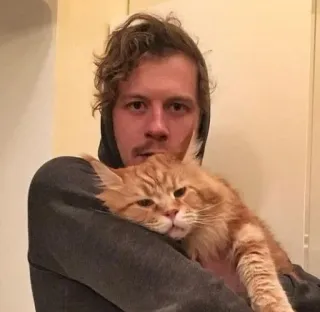 😊 ba13c6bb 男性, 猫, ペット, オレンジ猫, 動物, パーカー, 人 telegram sticker