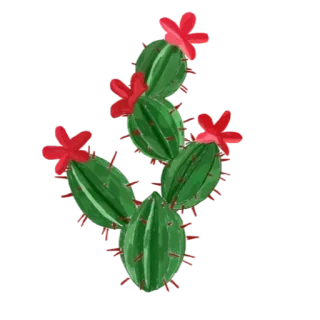 🙏 0b6cb924 cacto, planta, flor, suculenta, natureza, deserto telegram sticker