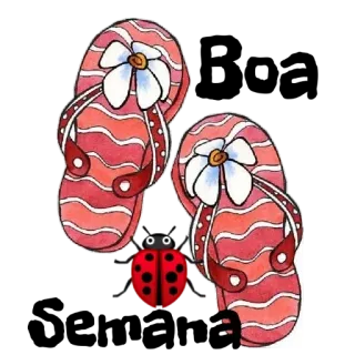 🙏 30809ecf chinelos, joaninha, verão, praia, sandálias, calçado telegram sticker