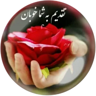 🌼 3d323146 تقديم به شما خوبان rosa, flor, presente, mão, persa, saudação telegram sticker