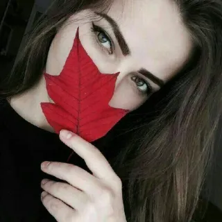 🌹 5f6e0370 mulher, folha, retrato, outono, menina, beleza telegram sticker