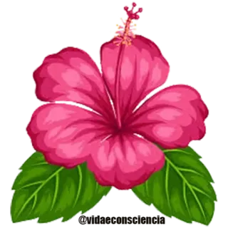 🌹 7d931237 flor, hibisco, floral, tropical, planta, natureza, florada telegram sticker