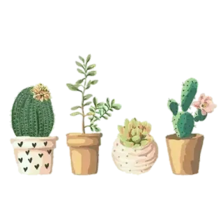 🌹 92529f1e cacto, suculentas, plantas, plantas em vaso, plantas de interior, jardinagem, plantas de interior telegram sticker