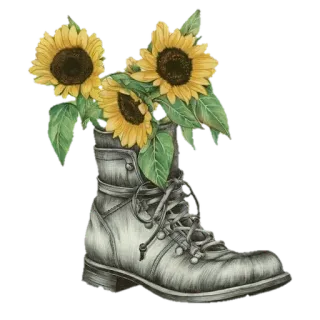 🌼 f2541874 girassóis, bota, flores, floral, natureza, vintage, esboço telegram sticker