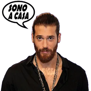 🏠 3fd3fcb4 SONO A CASA uomo, ritratto, SONO A CASA, italiano, fumetto telegram sticker