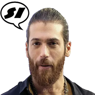 👍 b2732655 SI uomo, persona, barba, sì, affermativo telegram sticker