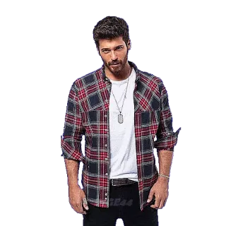 😄 f3312c5a uomo, camicia a quadri, collana, ritratto, adulto, maschio telegram sticker