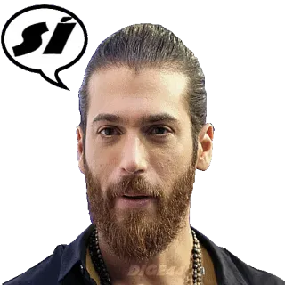 👍 c4bcf4ee Sí Mann, Porträt, Person, Bart, Ja, Si, Sprechblase telegram sticker