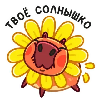 ☀️ 1c0add4b ТВОЁ СОЛНЫШКО sunflower, cute, capybara, animal, cartoon, flower telegram sticker
