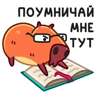 🤓 6b6df136 ПОУМНИЧАЙ МНЕ ТУТ capybara, book, glasses, animal, reading telegram sticker