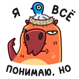 😐 c14f9af3 Я всё понимаю, но animal, bird, funny, cartoon, sticker, expression telegram sticker