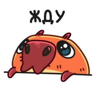 😐 cdc2e18f ЖДУ capybara, animal, waiting, cute, rodent telegram sticker