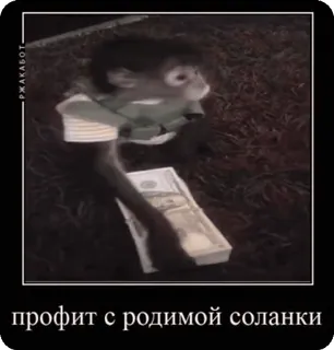 🌟 663e52c8 профит с родимой солянки argent, animal, singe, profit, slave whatsapp sticker