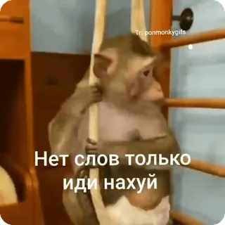 🌟 86e4b224 Нет слов только
иди нахуй singe, drôle, impoli, offensant, russe, mème whatsapp sticker